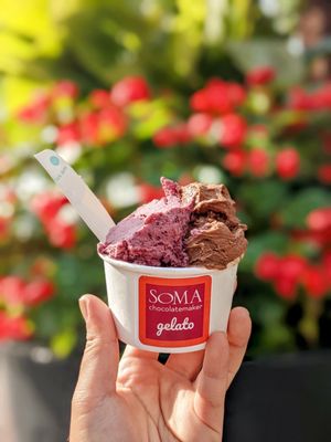 SOMA chocolatemaker by null