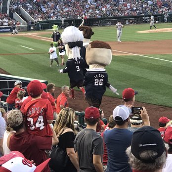 Nationals Park - Poor Teddy is he ever going to win a race I hope so!!! - Stadiums & Arenas Near Me - Washington, DC, District of Columbia Nationals Park - Poor Teddy is he ever going to win a race I hope so!!! - Stadiums & Arenas Near Me - Washington, DC, District of Columbia