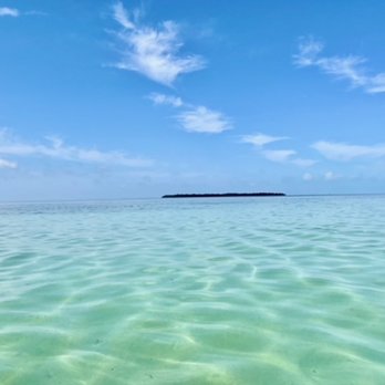 Dolphin Safari Charters - Boat Tours Near Me - Key West, Florida Dolphin Safari Charters - Boat Tours Near Me - Key West, Florida
