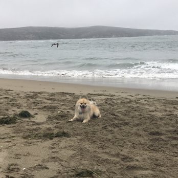 Dillon Beach - Beaches Near Me - Dillon Beach, California