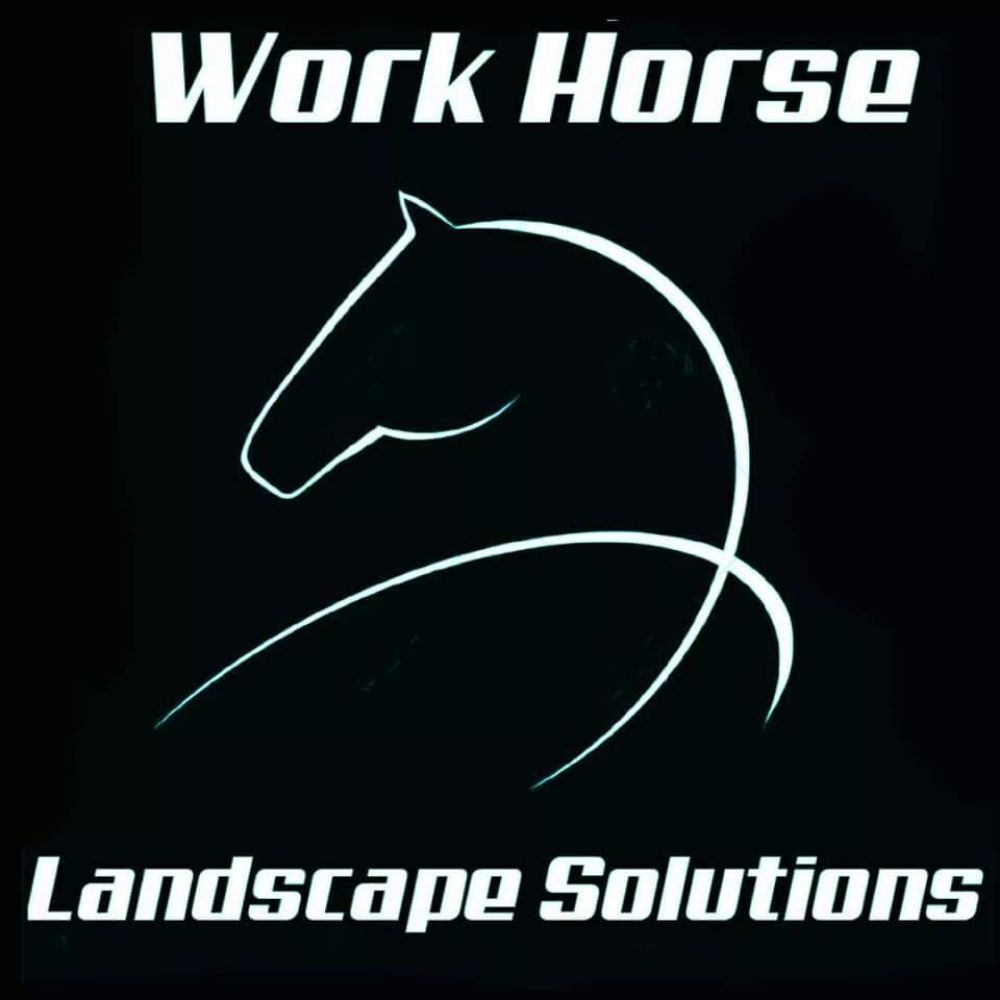 WORKHORSE LANDSCAPE SOLUTIONS 16 Photos Yoakum, Texas Irrigation