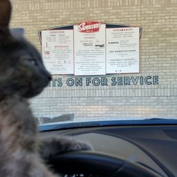 Whiskers out for service Whiskers out for service