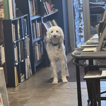 Wall Street Book Exchange - sweet boy - Bookstores Near Me - Waynesville, North Carolina Wall Street Book Exchange - sweet boy - Bookstores Near Me - Waynesville, North Carolina