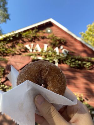Vala's Pumpkin Patch & Apple Orchard by null