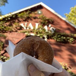 Vala's Pumpkin Patch