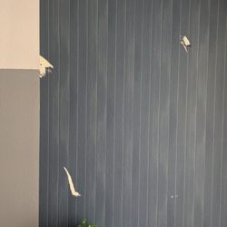 Nova Vacation Homes - Wall paper peeling