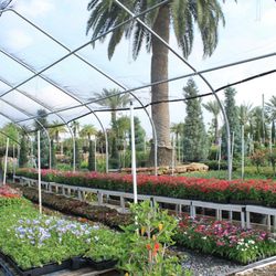 Nurseries & Gardening in Houston - Yelp