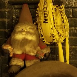 The unofficial mascot of Latimer Garage