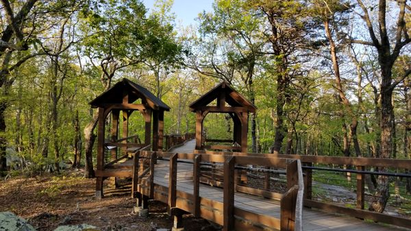 Cheaha State Park by null