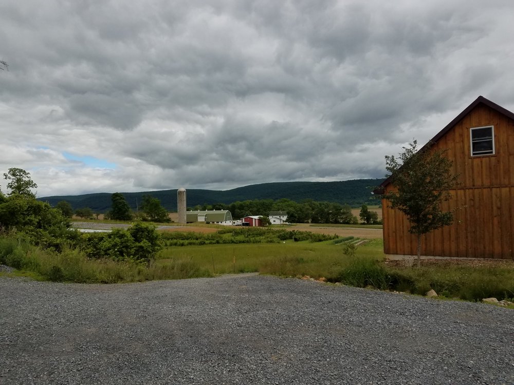 BEE TREE BERRY FARM Updated September 2024 494 Benner Rd