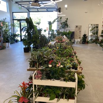 Plants by Post - Nurseries & Gardening Near Me - Campbell, California