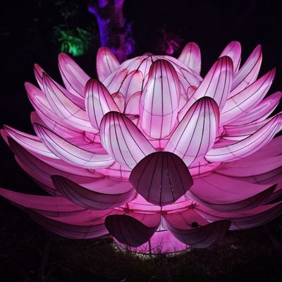 Mounts Botanical Garden by null