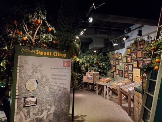 Orange County Regional History Center by null