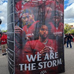 Arizona Cardinals