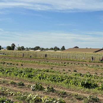 TOLMACHOFF FARMS - Updated November 2024 - 217 Photos & 158 Reviews