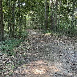 A.J. Henry Park