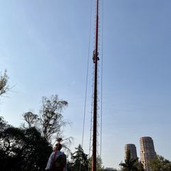 Voladores de Papantla - Voladores de Papantla en Chapultepec