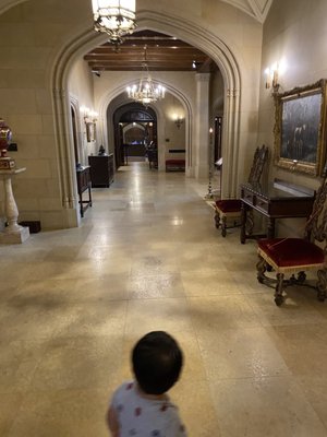 Paine Art Center & Gardens by null