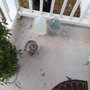 Daley Lawn Care