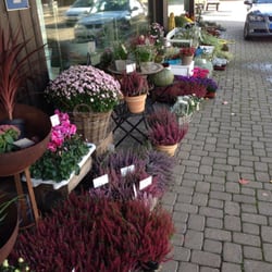 Blumen Richter