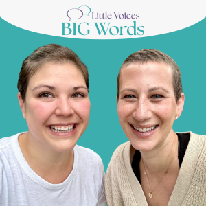 Little Voices Big Words - child therapist in Arlington, MA