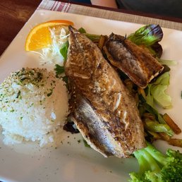 Mackerel