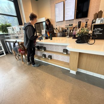 Mostra Coffee - Dog Friendly :) - Coffee & Tea Near Me - San Diego, California