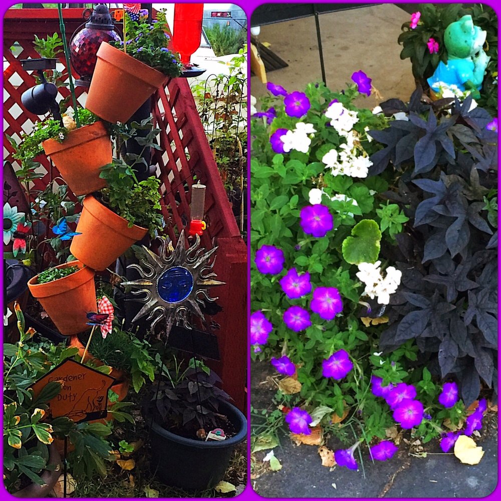 A beautiful garden will welcome you! A beautiful garden will welcome you!