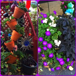 A beautiful garden will welcome you! A beautiful garden will welcome you!