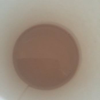 Robust Coffee Lounge - Hot milk :( - Breakfast & Brunch Near Me - Chicago, Illinois Robust Coffee Lounge - Hot milk :( - Breakfast & Brunch Near Me - Chicago, Illinois