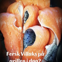 Færder Skalldyr - Fersk laks