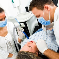 Stephen D Crocker, DDS