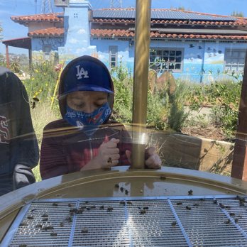 Agua Hedionda Lagoon Foundation - Bee Hive - Community Service/Non-Profit Near Me - Carlsbad, California Agua Hedionda Lagoon Foundation - Bee Hive - Community Service/Non-Profit Near Me - Carlsbad, California
