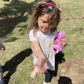 Mini Mavericks Preschool - Mini Mavericks preschooler with lizard - Preschools Near Me - Bend, Oregon Mini Mavericks Preschool - Mini Mavericks preschooler with lizard - Preschools Near Me - Bend, Oregon