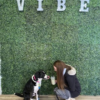 VIBE Powell - a woman petting a black and white dog - Coffee & Tea Near Me - Powell, Ohio