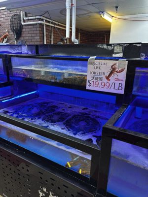 K&S World Market by null