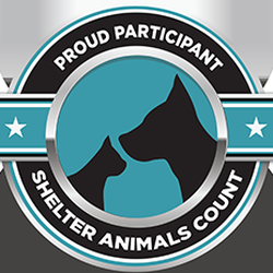 West Coast Labrador Retriever Rescue