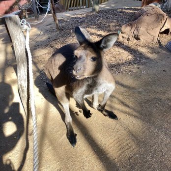 Sydney Wildlife World - Zoos Near Me - Darling Harbour, NSW