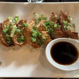 Fried pork gyoza - Fried pork gyoza topped with chopped green onions, served with soy sauce in a small white dish on a white plate.