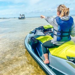 Waverunner dolphin tours seeing local life