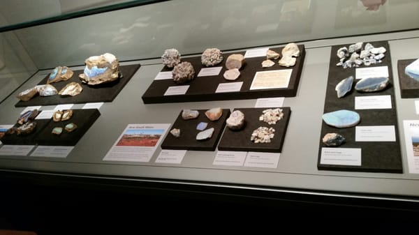 South Australian Museum by null