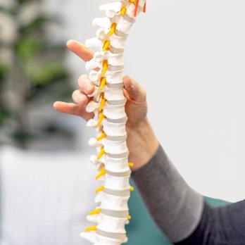 PhysiAlign - Physical Therapy Near Me - South Burlington, Vermont PhysiAlign - Physical Therapy Near Me - South Burlington, Vermont