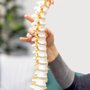Photo of PhysiAlign