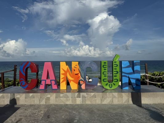 Dolphins Beach by null