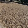 Photo of Heather Farm Dog Park