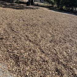 Heather Farm Dog Park