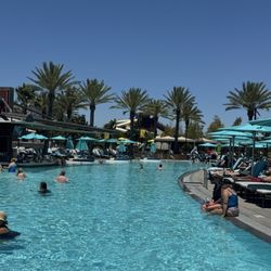 The Cove - Pool