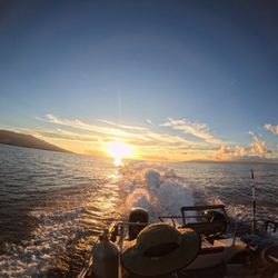 Molokai Fish & Dive