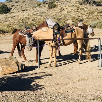 Broken Saddle Riding - Horseback Riding Near Me - Cerrillos, New Mexico