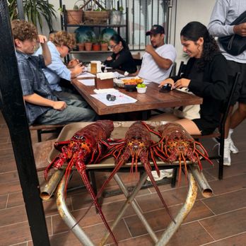 Las Brisas - Seafood Near Me - Puerto Nuevo, BCN Las Brisas - Seafood Near Me - Puerto Nuevo, BCN